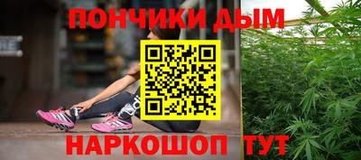 сатива Гудермес