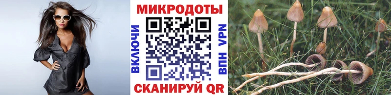 Псилоцибиновые грибы Psilocybe  цена   kraken зеркало  Асбест 