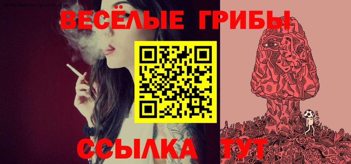 Псилоцибиновые грибы Cubensis Асбест