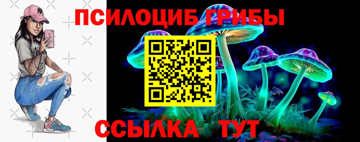 Галлюциногенные грибы Psilocybe  Вход с VPN  Асбест 