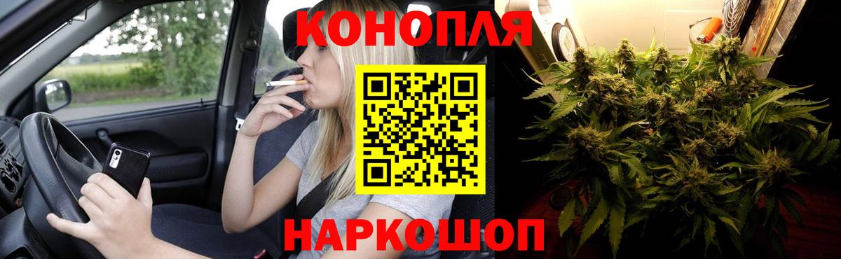 Канабис SATIVA & INDICA Асбест